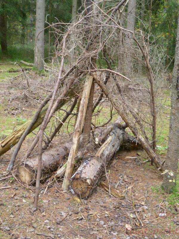 Bildla Nummära 003.jpg