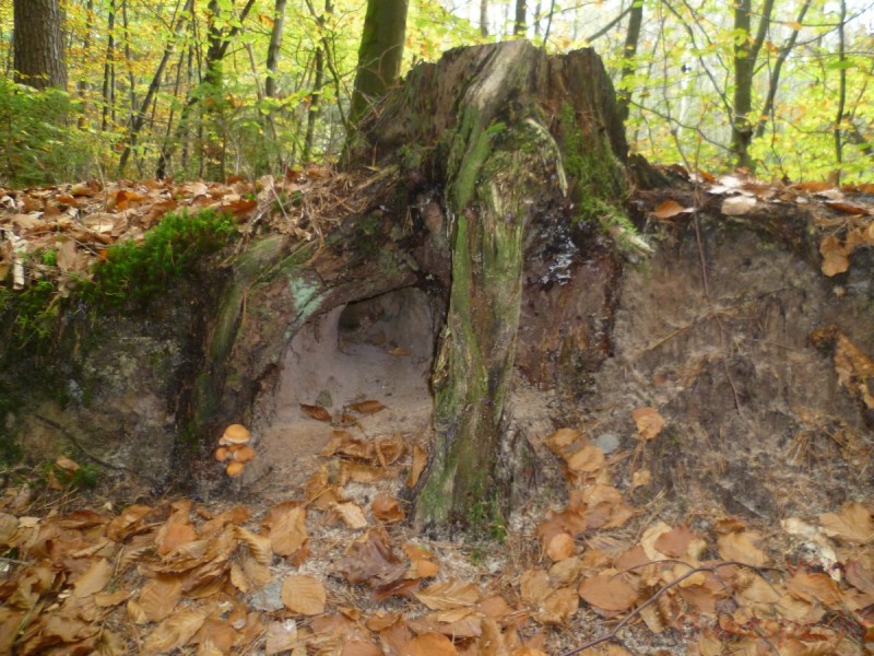 Bildla Nummära 004.jpg