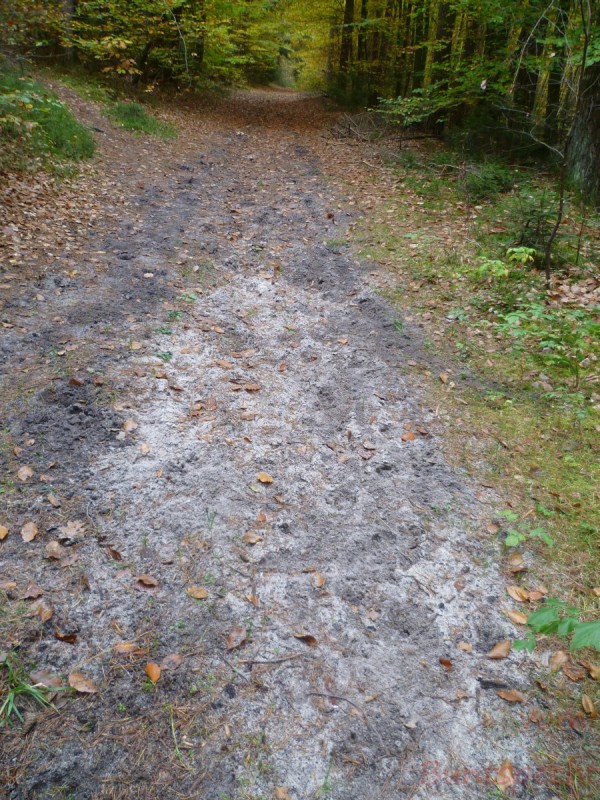 Bildla Nummära 005.jpg