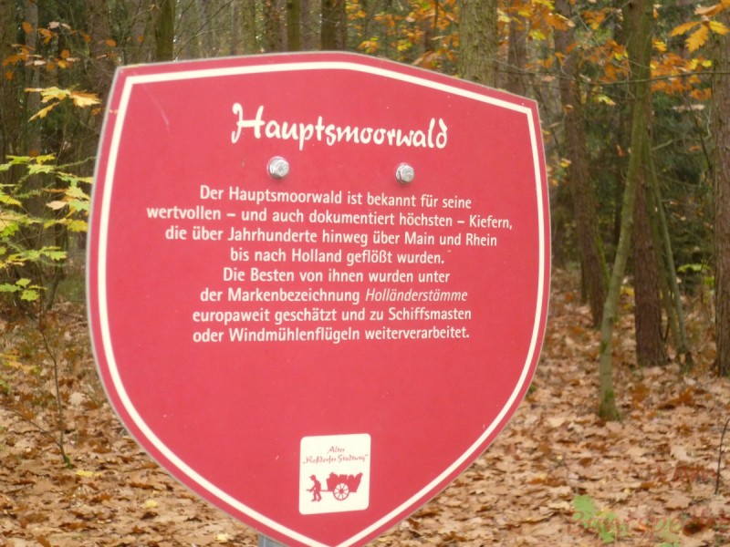 Bildla Nummära 008.jpg