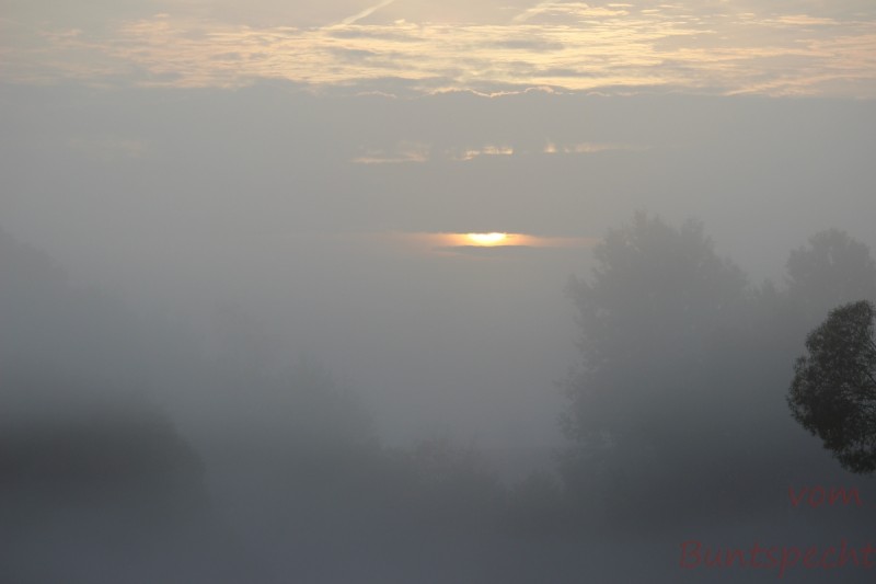 Bildla Nummära 001.jpg