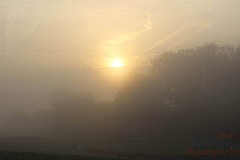 Bildla Nummära 002.jpg