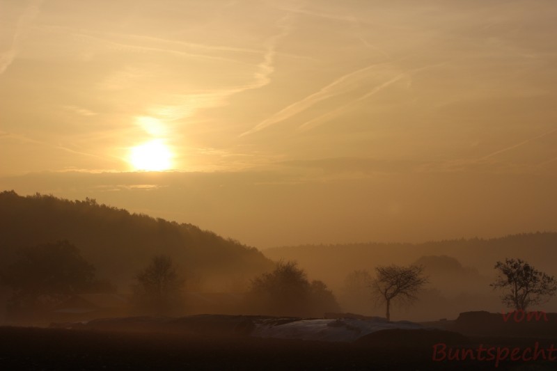 Bildla Nummära 003.jpg