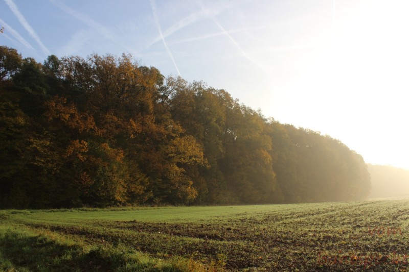 Bildla Nummära 007.jpg