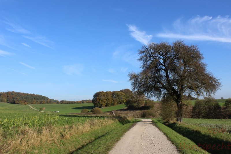 Bildla Nummära 008.jpg