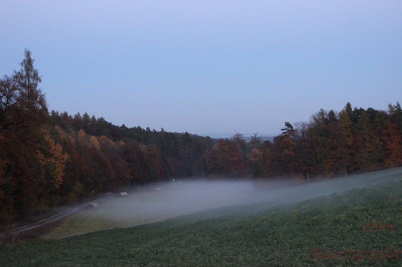 Bildla Nummära 001.jpg