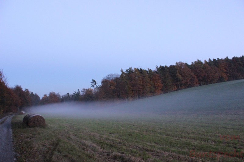 Bildla Nummära 002.jpg