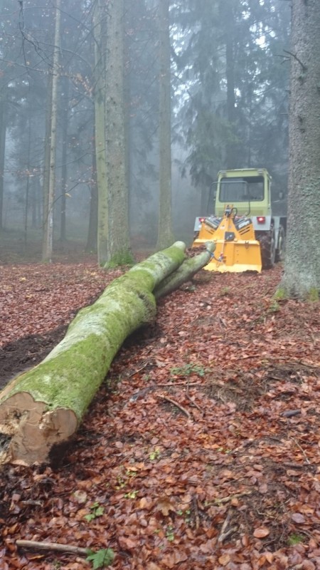Seilwinde erster Einsatz (2) (Medium).JPG