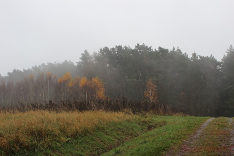 Bildla Nummära 001.jpg