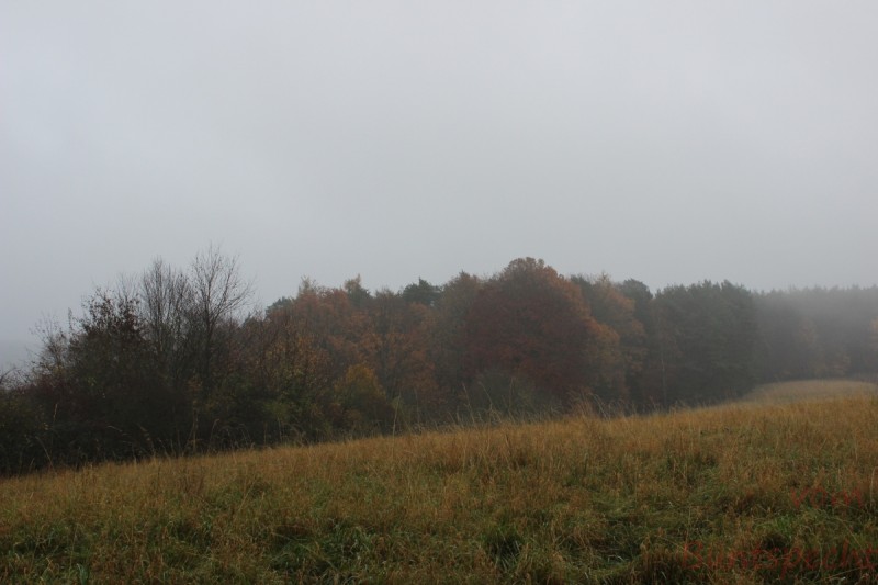 Bildla Nummära 002.jpg