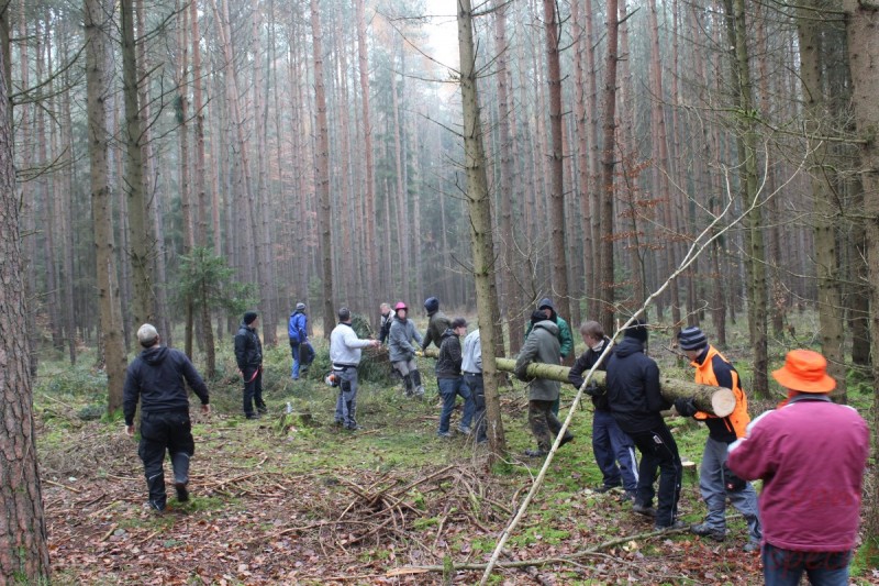 Bildla Nummära 001.jpg