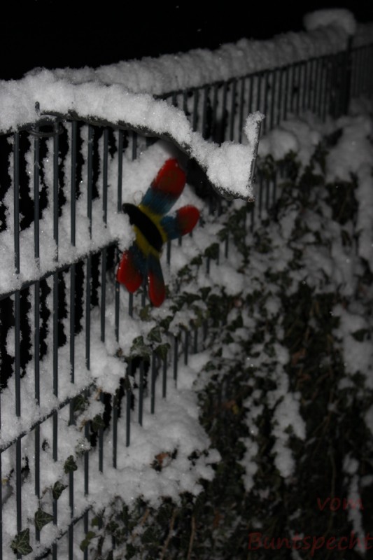 Bildla Nummära 002.jpg