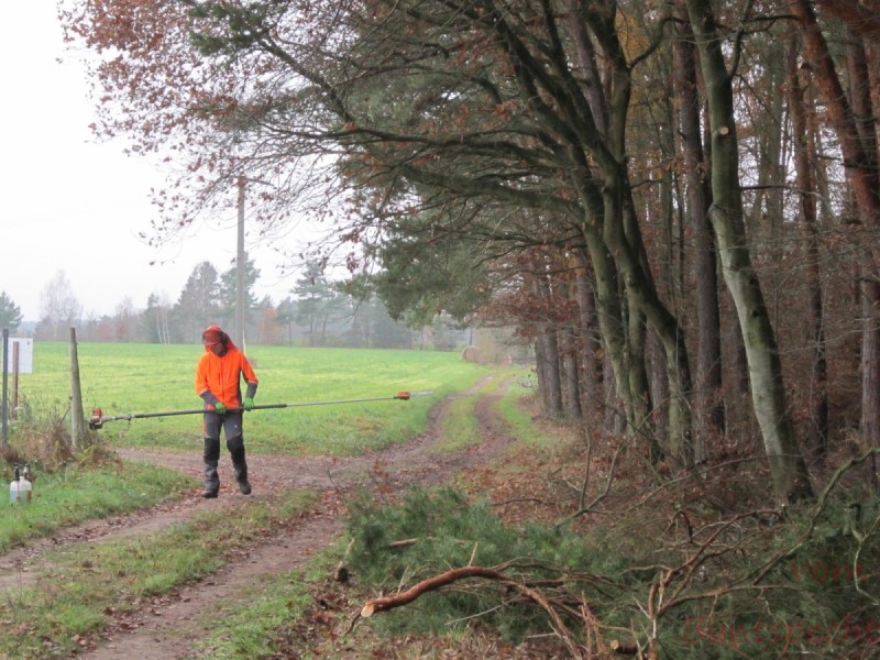 Bildla Nummära 001.jpg