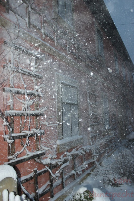 Bildla Nummära 002.jpg