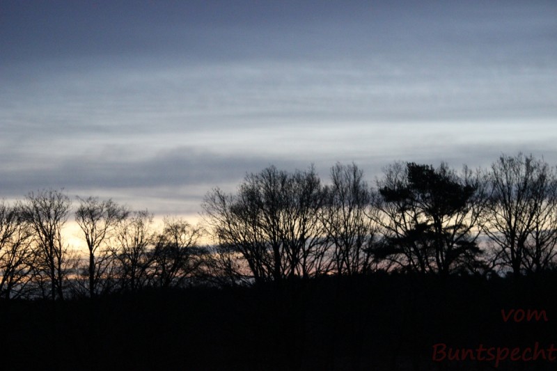 Bildla Nummära 005.jpg