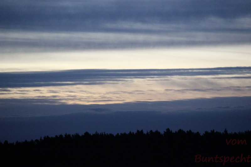 Bildla Nummära 006.jpg