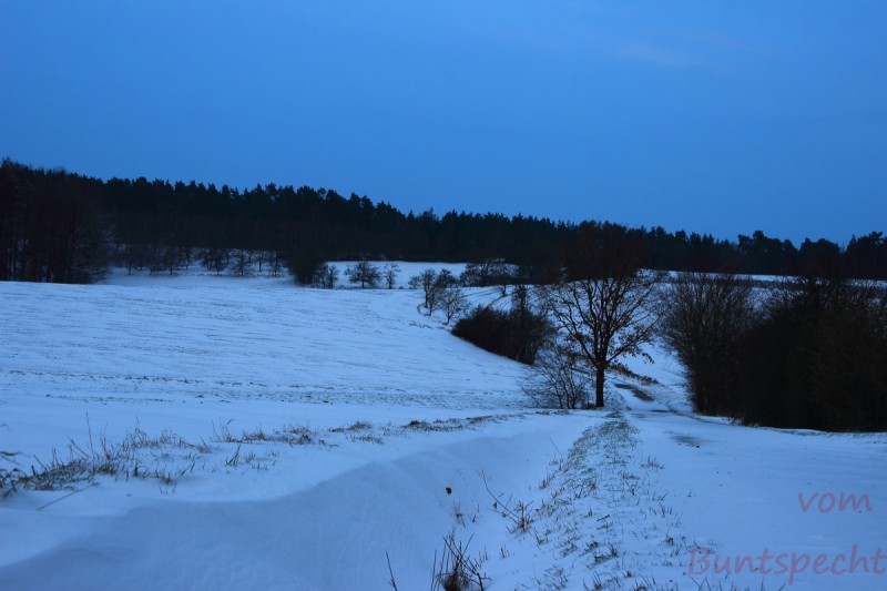 Bildla Nummära 001.jpg