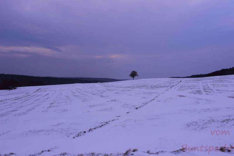 Bildla Nummära 002.jpg