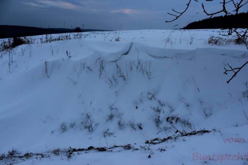 Bildla Nummära 003.jpg