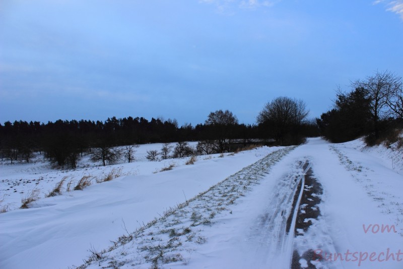 Bildla Nummära 004.jpg