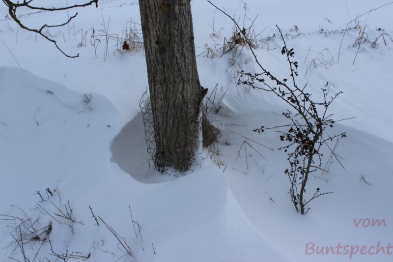 Bildla Nummära 005.jpg