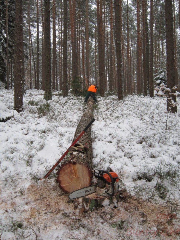 Bildla Nummära 001.jpg