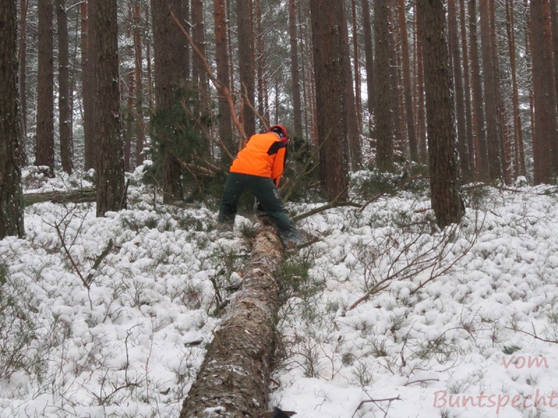 Bildla Nummära 002.jpg