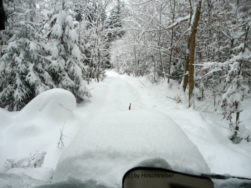 Neuschnee3.jpg