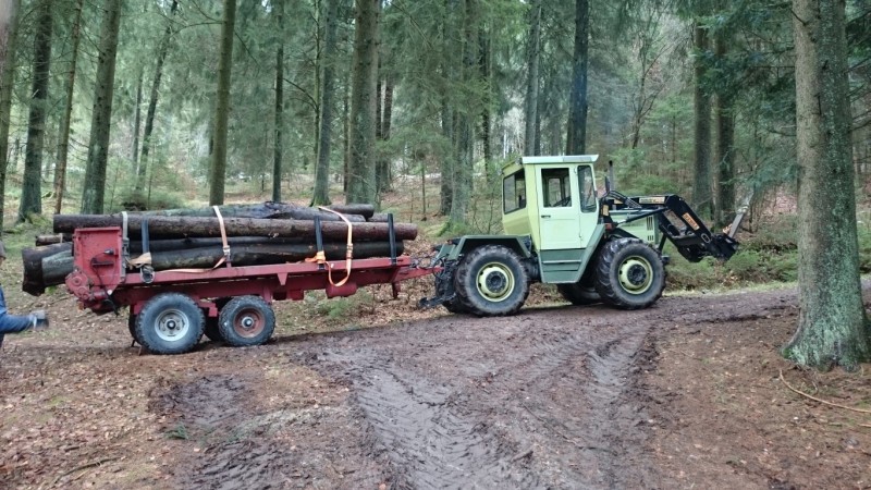 DSC_0104 (Medium).JPG