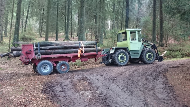 DSC_0108 (Medium).JPG