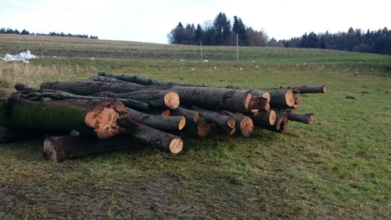 DSC_0110 (Medium).JPG