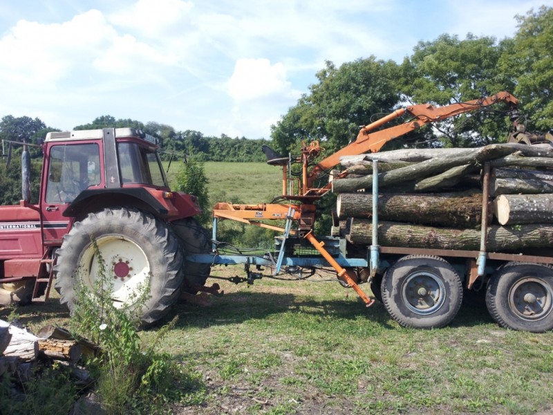 Bilder vom Handy 374.jpg