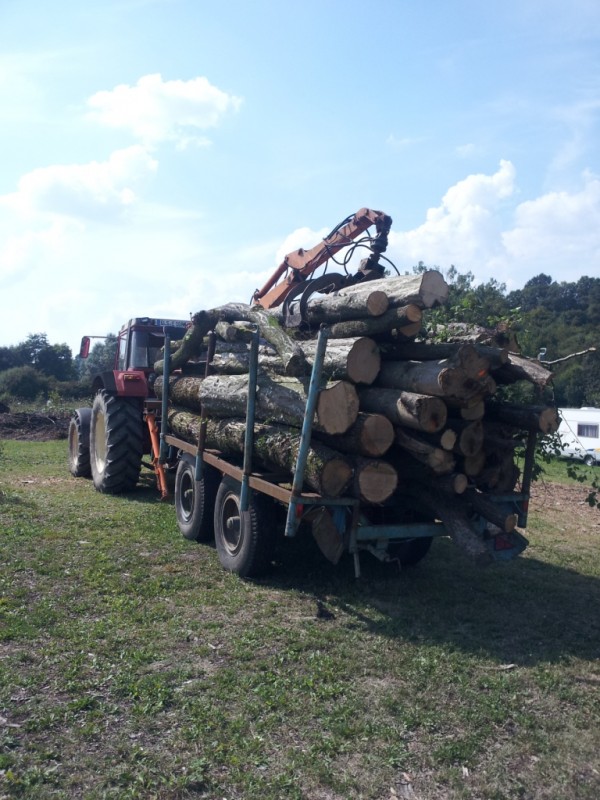 Bilder vom Handy 371.jpg