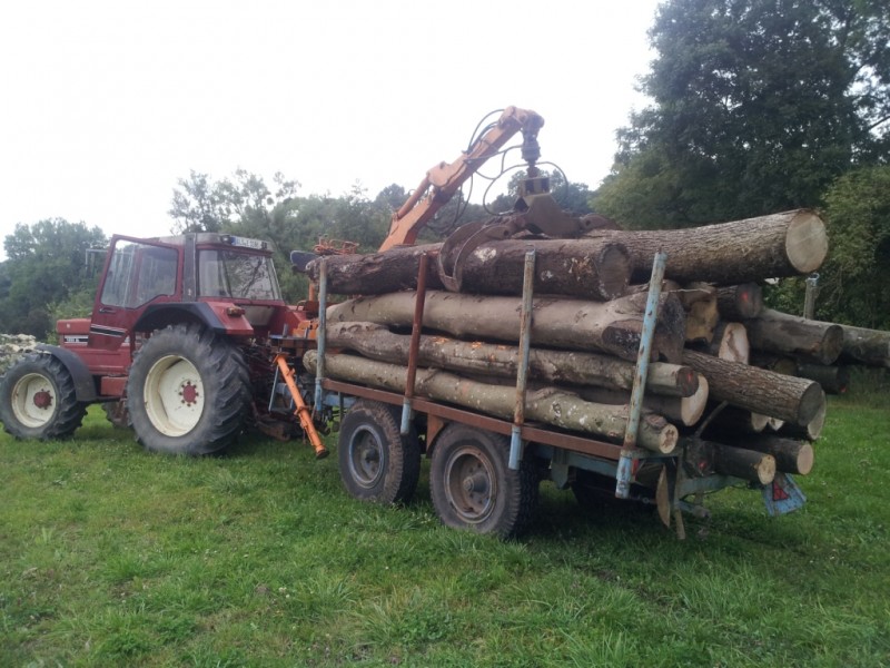 Bilder vom Handy 3049.jpg