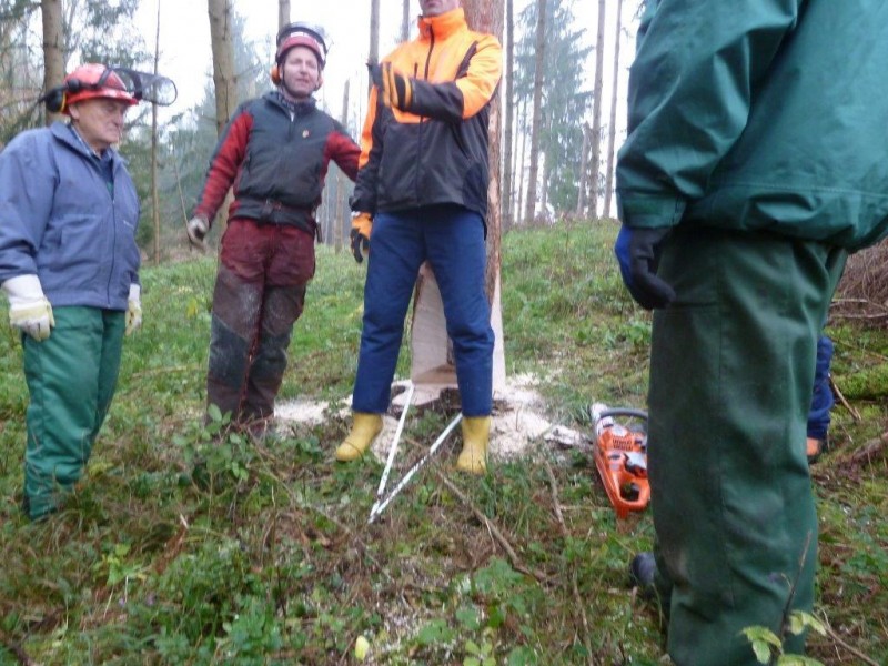 P1070701 Fällrichtung kontrollieren.jpg