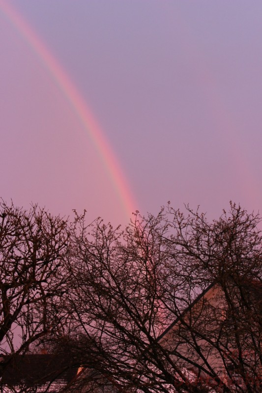 Bildla Nummära 001.jpg