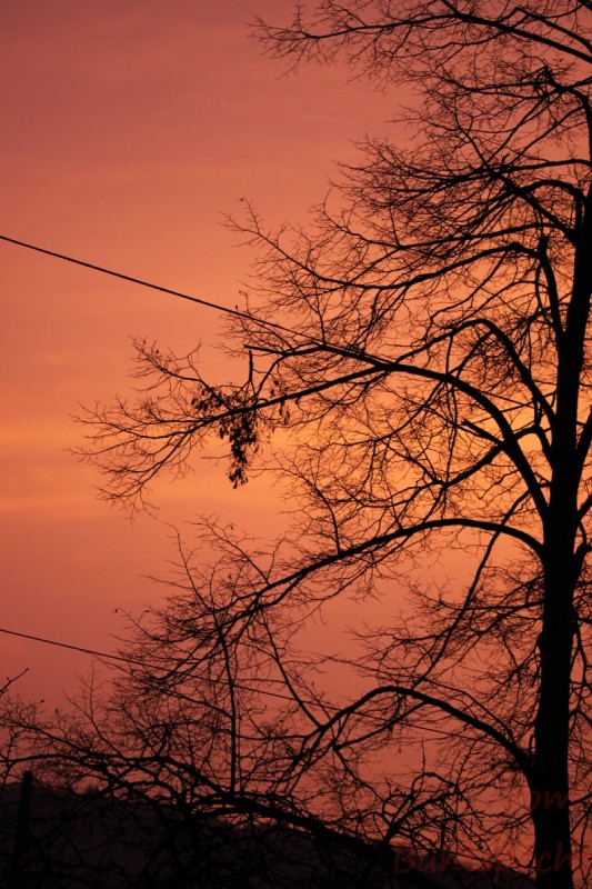 Bildla Nummära 002.jpg