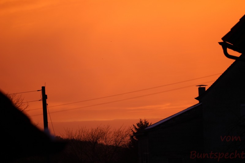 Bildla Nummära 003.jpg