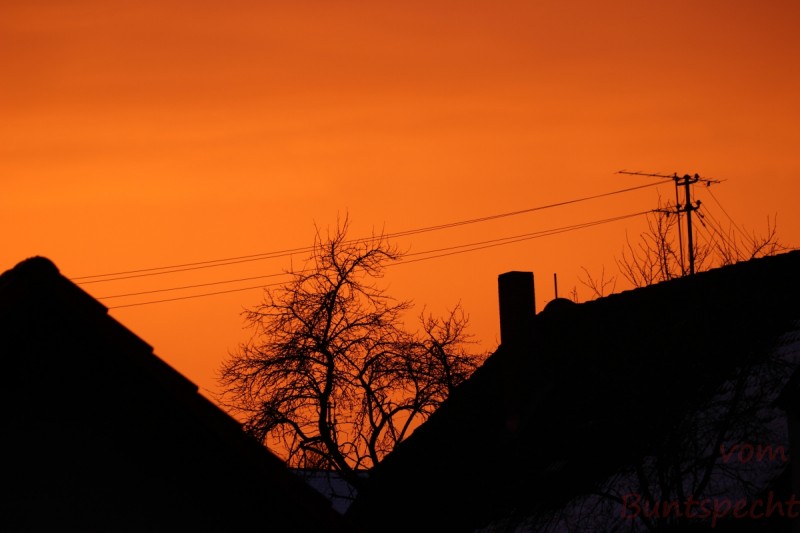 Bildla Nummära 004.jpg