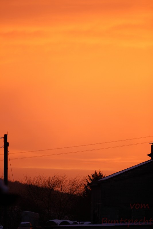 Bildla Nummära 005.jpg