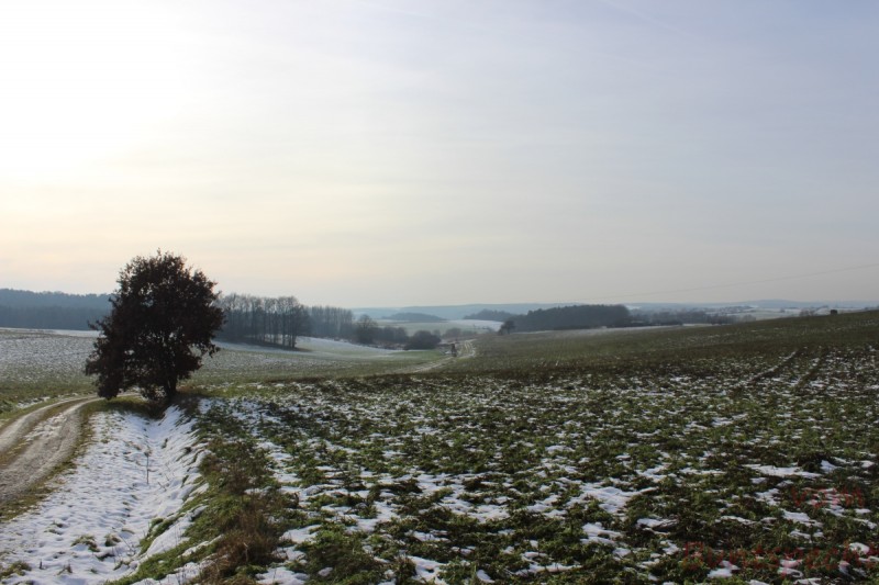 Bildla Nummära 001.jpg