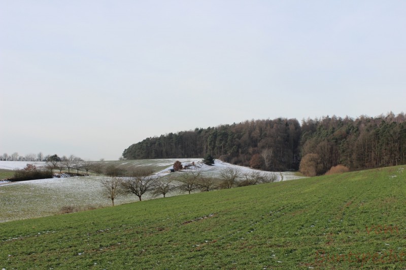 Bildla Nummära 002.jpg