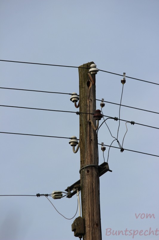 Bildla Nummära 004.jpg