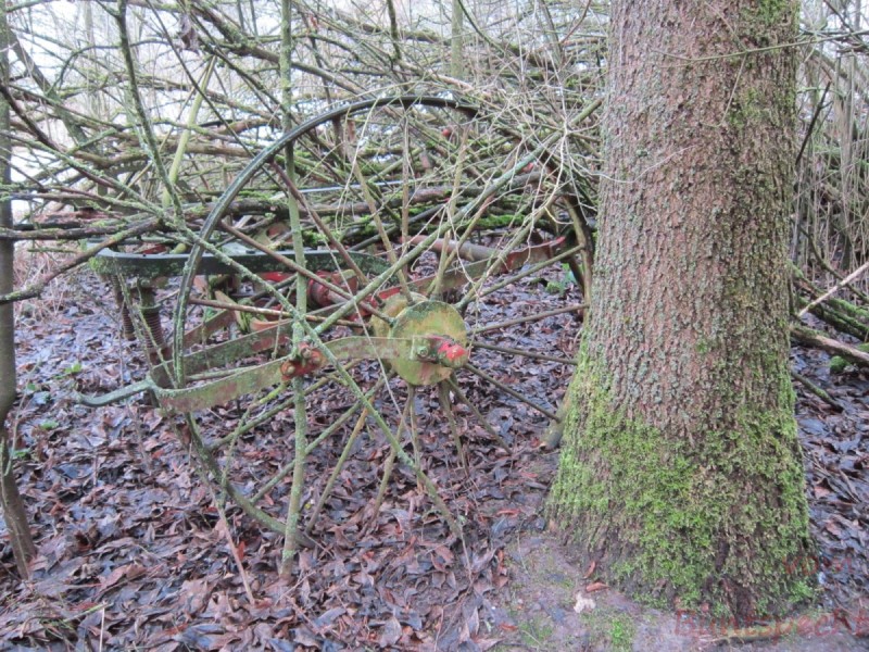 Bildla Nummära 001.jpg