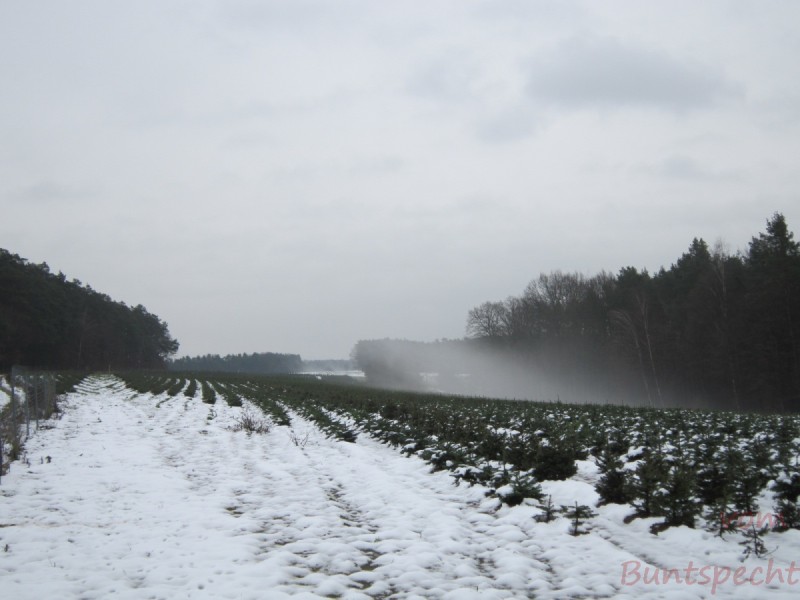 Bildla Nummära 002.jpg