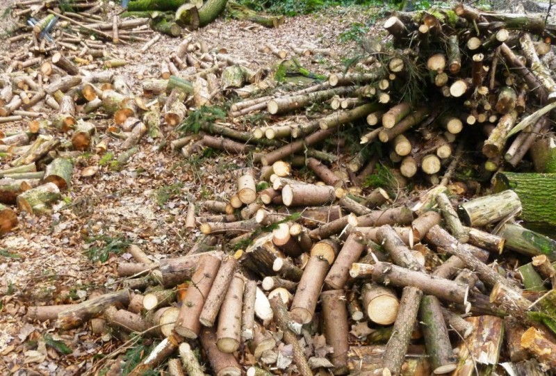Holzhaufen 4.jpg