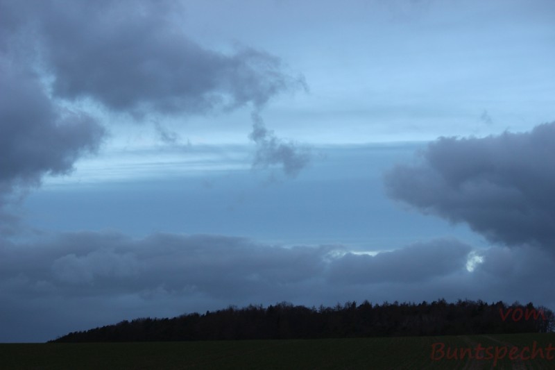 Bildla Nummära 002.jpg