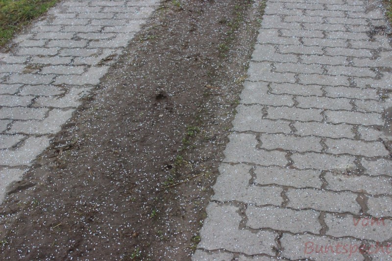 Bildla Nummära 001.jpg