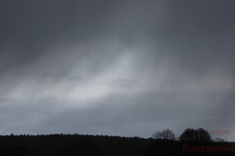 Bildla Nummära 003.jpg