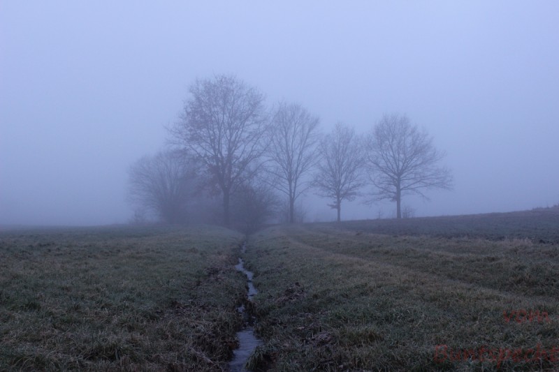 Bildla Nummära 001.jpg